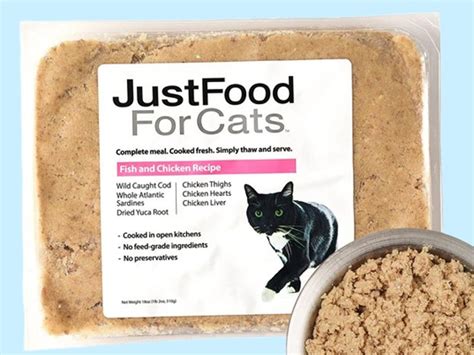 best budget wet cat food|More.